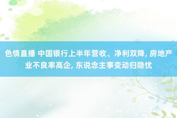 色情直播 中国银行上半年营收、净利双降， 房地产业不良率高企， 东说念主事变动归隐忧